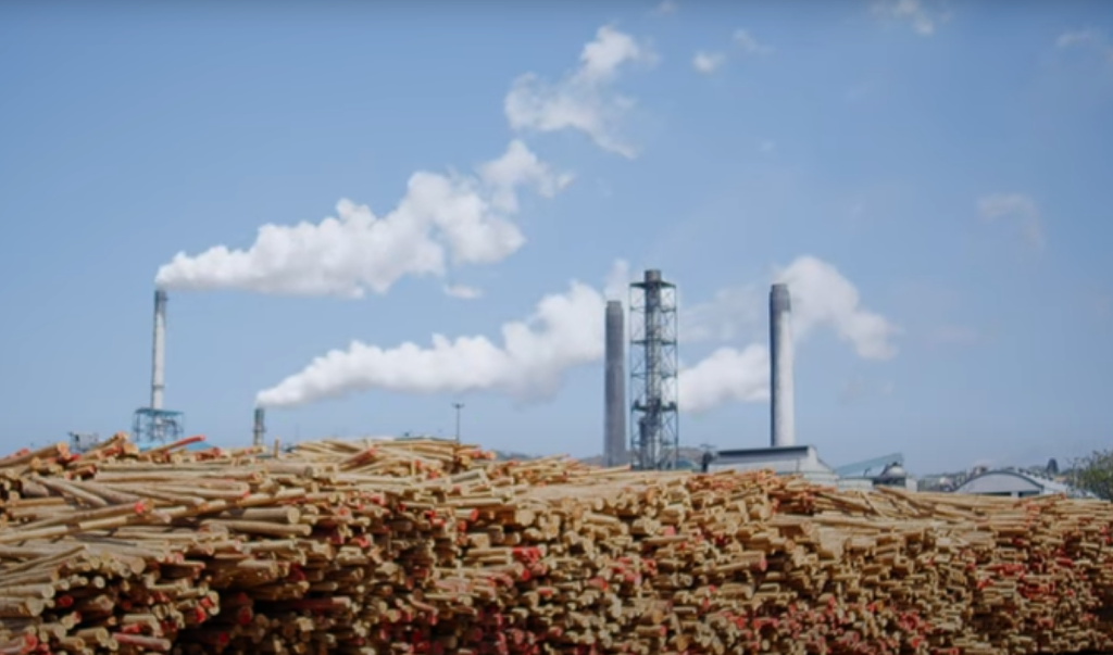 Sabela Capital Facilitates Capital Raising for Mkomazi Alienfuel